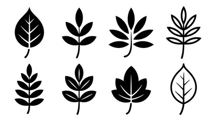 Naklejka premium Vector art of a collection of various leaf shapes and styles isolated on white background, perfect for botanical illustrations
