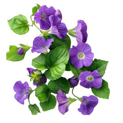Purple flowers and green leaves isolated on transparent background