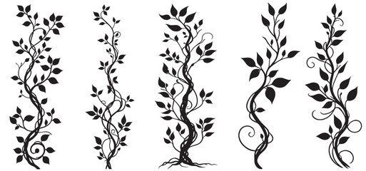 Jungle creeper silhouettes. Tropical forest lianas, rainforest hanging sprouts. Climbing liana vines flat set vector © shahzad