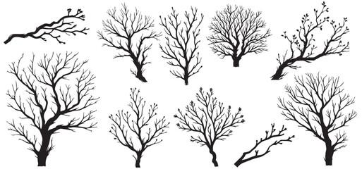 Dead Tree Silhouette Set without Leaves on White Background for Elegant Design Projects Free Vector illustration