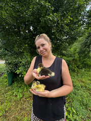 A woman holds several ducklings in one hand. Holds one in her other hand and shows it to the...