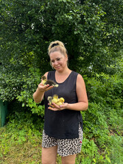 A woman holds several ducklings in one hand. Holds one in her other hand and shows it to the camera. Backyard poultry farming.