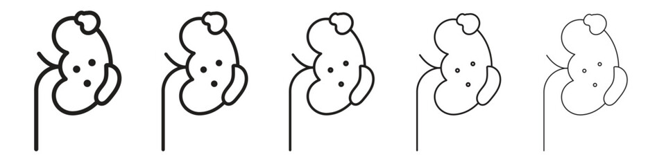 Kidney disease icon in thin to bold stroke versions on white background
