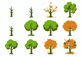 Tree Growth Stages: Bare Branches to Full Green and Autumnal Foliage