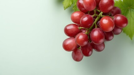 A bunch of ripe red grapes displayed beautifully against a soft pastel background featuring juicy sweetness in a depth of field composition