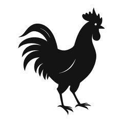 Rooster vector illustration isolated on white background farm bird chicken silhouette cartoon poultry animal design feather beak nature icon