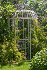 Beautiful green garden with decorative large cage.