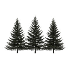 Obraz premium Three evergreen trees with a simple black outline and visible trunks in a row on white background created with generated ai 