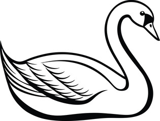 Obraz premium Vector art of a graceful black and white swan illustration, isolated on a white background