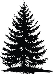 Obraz premium Pine Tree Silhouette Isolated Vector Illustration, Black silhouette of a tall evergreen tree, pine tree vector art design, Christmas tree silhouette art, Holiday Elements illustration 