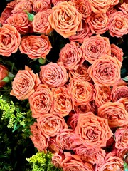 Bunch of fresh orange roses at farmers market flower stand - Botanical Beauty Series