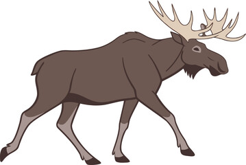 Fototapeta premium Vector art of a brown cartoon moose with large antlers walking, isolated on a white background