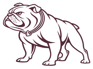 Fototapeta premium Powerful Bulldog Mascot with Spiked Collar