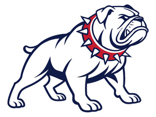 Obraz premium Powerful Bulldog Mascot with Spiked Collar