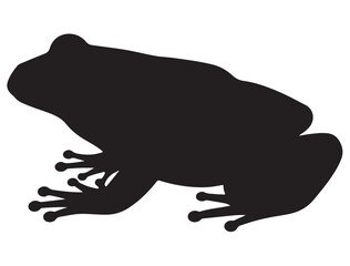 FROG SILHOUETT