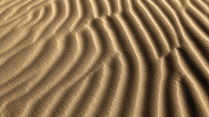 Obraz premium Desert Sand Dunes in Saudi Arabia.