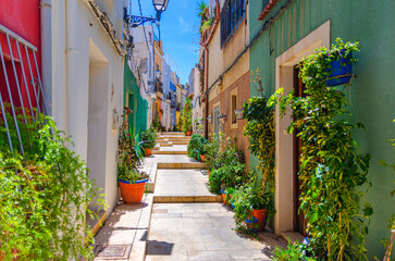 Alicante old town San Roque quarter, narrow street with typical houses, traditional colorful buildings, flowers and plants, Casco Antiguo Alicante city historical centre, Valencian Community, Spain