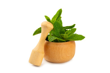 Fresh mint with mortar and pestle isolated on white background. Melissa leaves. Healing herbs green...