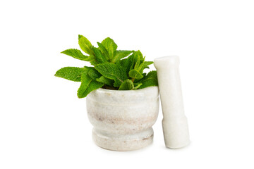 Fresh mint with mortar and pestle isolated on white background. Melissa leaves. Healing herbs green...