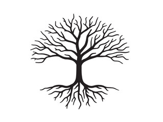 Tree with visible roots in linear vector icon