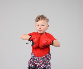 Little boy with boxing gloves on gray background