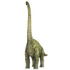 Majestic Brachiosaurus with towering neck