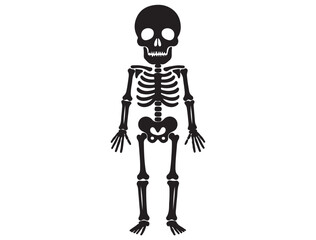 HUMAN SKELETON SILHOUETTE