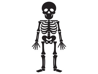 HUMAN SKELETON SILHOUETTE