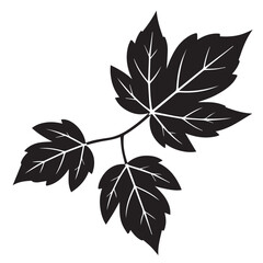 Vector art of a silhouette of a maple leaf branch isolated on white background