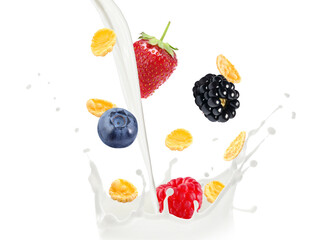 Tasty corn flakes and fresh berries falling into splashing milk on white background