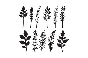 Collection of black silhouette botanical elements and plant sprigs on white background