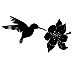 Beija-flor