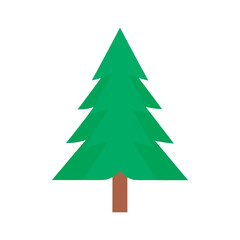   vector flat color pine  tree 