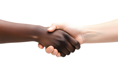 Diverse Handshake Symbolizing Unity, Collaboration, Partnership, and Interracial Agreement on a White Background.