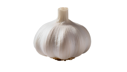 A close-up of a fresh, whole head of garlic with white skin, positioned vertically against a clean white background. The characteristic cloves are visible, forming a round shape. The image focuses on 