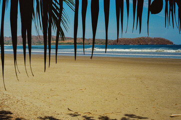 Golden sandy beach framed by palm leaves, overlooking gentle ocean waves and a blue horizon, typical of a tranquil tropical destination ideal for vacation, relaxation, and exotic scenery. 35mm Film