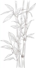 Naklejka premium Detailed sketch of bamboo stalks and leaves