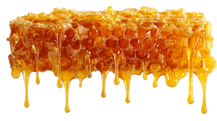 Honeycomb Dripping With Golden Honey Natural Sweetness Healthy Food Ingredient Close Up