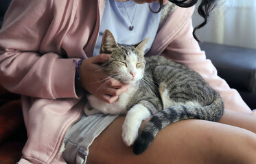 
Cat sleeping on its owner
