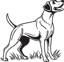 vector illustration of a dog