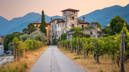 Fototapeta premium A twisting track makes its way to a cozy little house tucked away amidst vibrant hills, bordered by tall trees and stunning mountain ranges