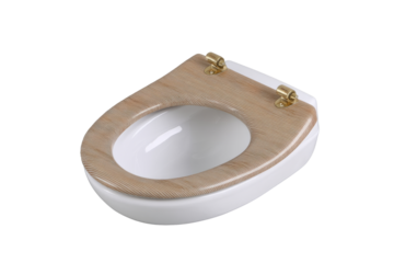 Unique decorative toilet seat design home bathroom product showcase modern aesthetic top view interior concept