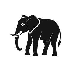 elephant isolated on white