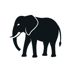 elephant vector illustration