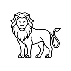 lion vector illustration