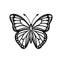 butterfly vector illustration, beautiful, clean, minimalist