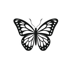 butterfly on white background, clean, minimalist