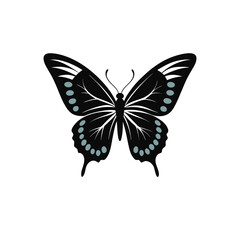 Butterfly with sky blue color, minimalist