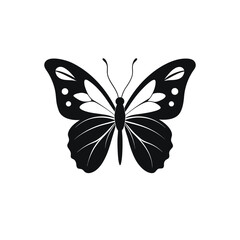 Vector illustration of butterfly, nice