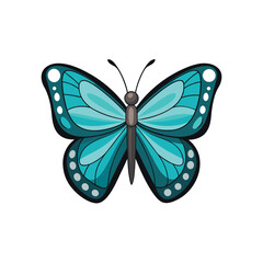 Most beautiful Butterfly vector illustration